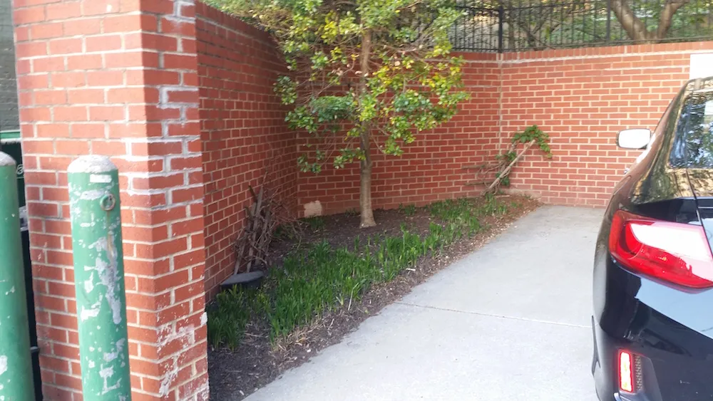 That's some fine greenspace right there (James Howard / University of Baltimore)