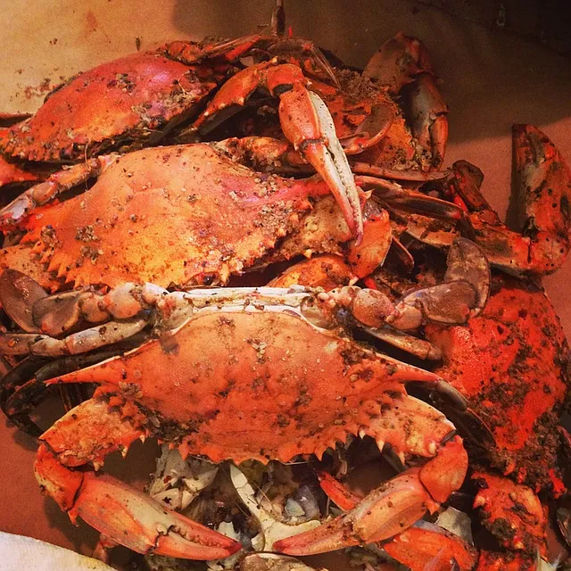Maryland crabs